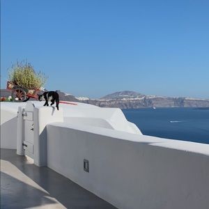 Meet your Posher, Emilia